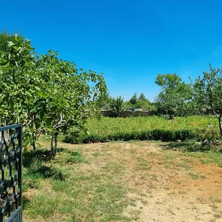 Willa House Cikola *