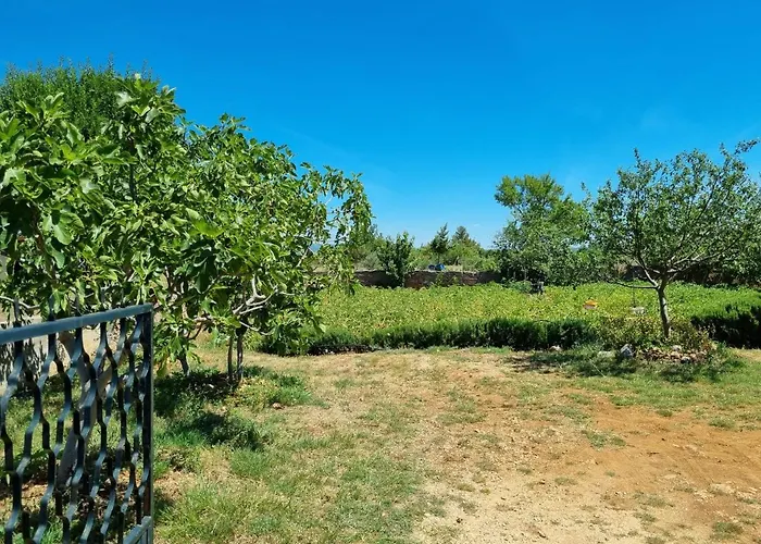 וילה House Cikola *